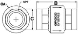 1-1/4" BRZ IN-LINE CHECK VALVE