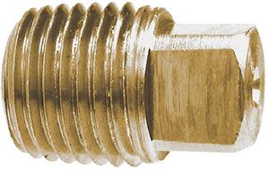 1/2 BRASS SQ HEAD PIPE PLUG