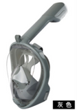 Snorkel Diving Mask