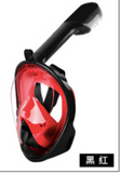 Snorkel Diving Mask